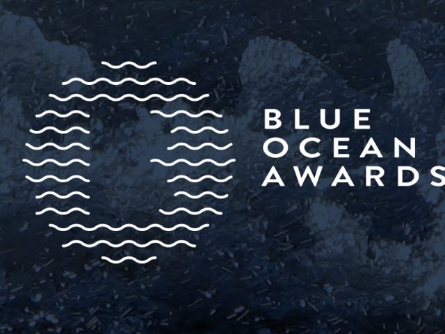 Les récompensés de la 4ème  édition des Blue Ocean Awards